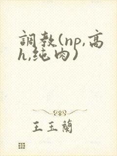 调教(np,高h,纯肉)