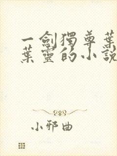 一剑独尊叶玄,叶灵的小说