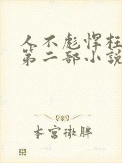 人不彪悍枉少年第二部小说