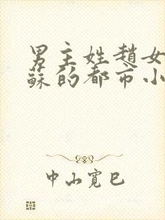 男主姓赵女主姓苏的都市小说