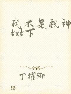 我不是戏神小说txt下