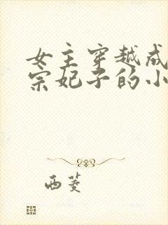 女主穿越成宋仁宗妃子的小说