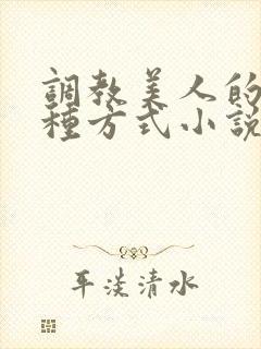 调教美人的一百种方式小说封面