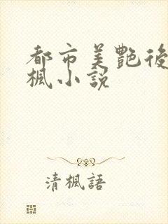 都市美艳后宫唐枫小说