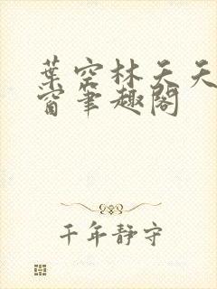 叶空林夭夭无弹窗笔趣阁封面