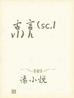 古言(sc,1v1) h