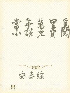 当年万里觅封侯小说免费阅读全文