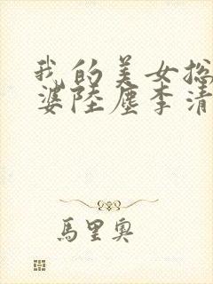 我的美女总裁老婆陆尘李清瑶