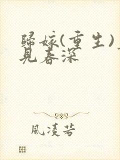 归嫁(重生)暮见春深封面