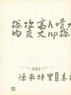 总攻高h喷水荡肉爽文np总攻