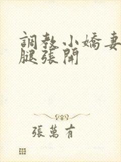 调教小娇妻h把腿张开