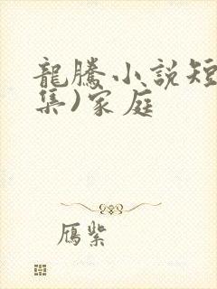 龙腾小说短篇合集)家庭