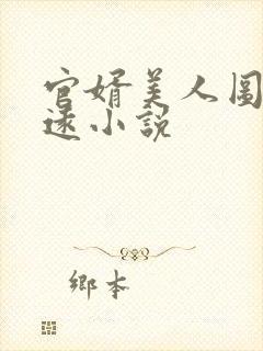 官婿美人图陈志远小说