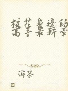 校花身边的贴身高手最新章节阅读