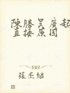 陈胜吴广起义的直接原因