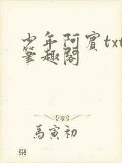 少年阿宾txt笔趣阁