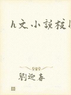 h文小说校园封面