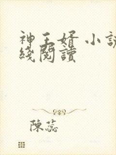 神王婿 小说在线阅读
