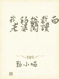 我的总裁白富美老婆阅读