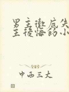 男主彻底失去女主后悔的小说封面