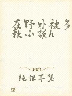 在野外被多人调教小说h