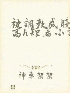 被调教成贱奴的高h短篇小说推荐