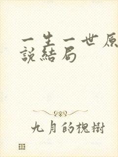 一生一世原著小说结局封面