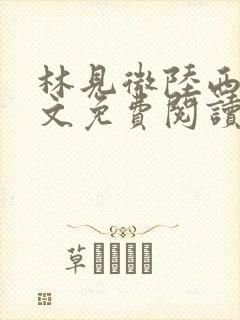 林见微陆西洲全文免费阅读封面