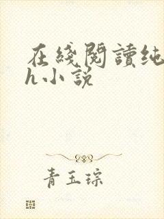 在线阅读纯肉高h小说