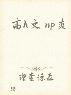高h文 np爽