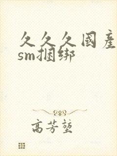 久久久国产调教sm捆绑