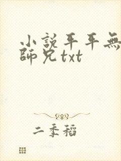 小说平平无奇大师兄txt