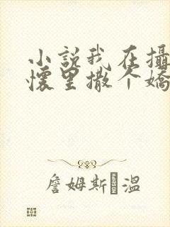 小说我在摄政王怀里撒个娇