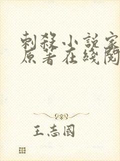 刺杀小说家小说原著在线阅读封面