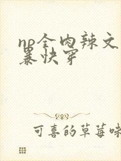 np全肉辣文粗暴快穿