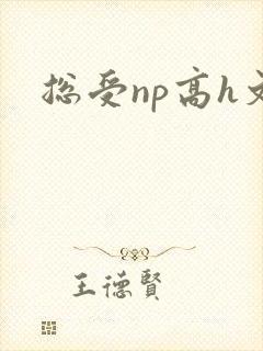总受np高h文