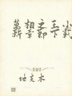 万相之王小说最新章节下载