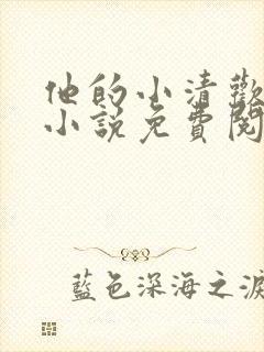 他的小清欢全网小说免费阅读