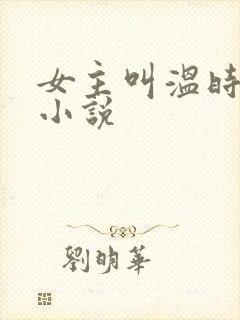 女主叫温时宁的小说封面