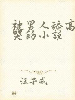 被男人舔高潮的哭的小说