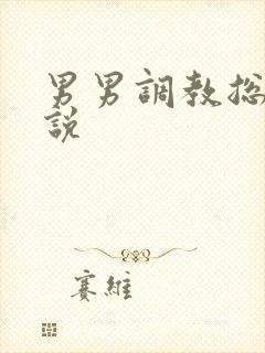 男男调教总裁小说封面