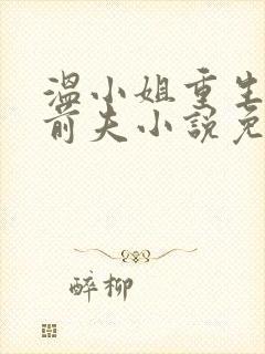 温小姐重生虐疯前夫小说免费阅读封面