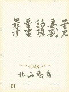 最爱的妻子的高清电视剧免费观看