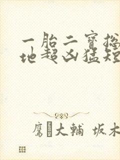 一胎二宝总裁爹地超凶猛短剧封面