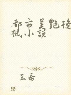 都市美艳后宫唐枫小说封面