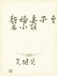 新婚妻子曹仁全篇小说