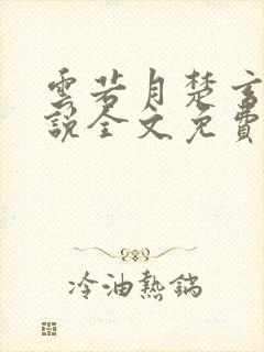 云若月楚玄辰小说全文免费阅读