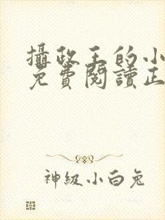 摄政王的小闲妻免费阅读正版封面