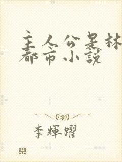 主人公是林天的都市小说封面