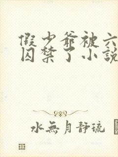 假少爷被六个哥囚禁了小说在线阅读